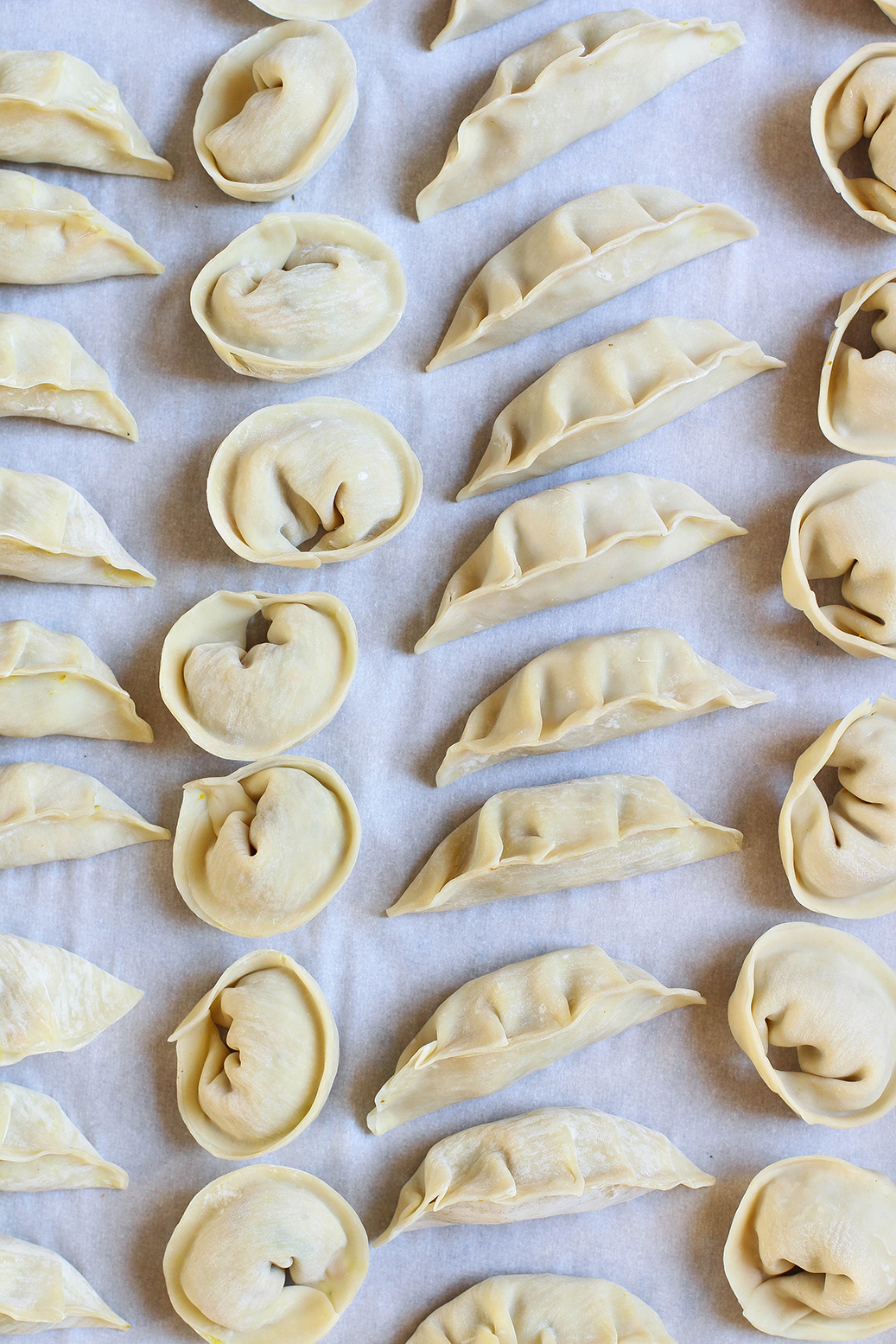 Vegan Turmeric Spiced Veggie Potstickers