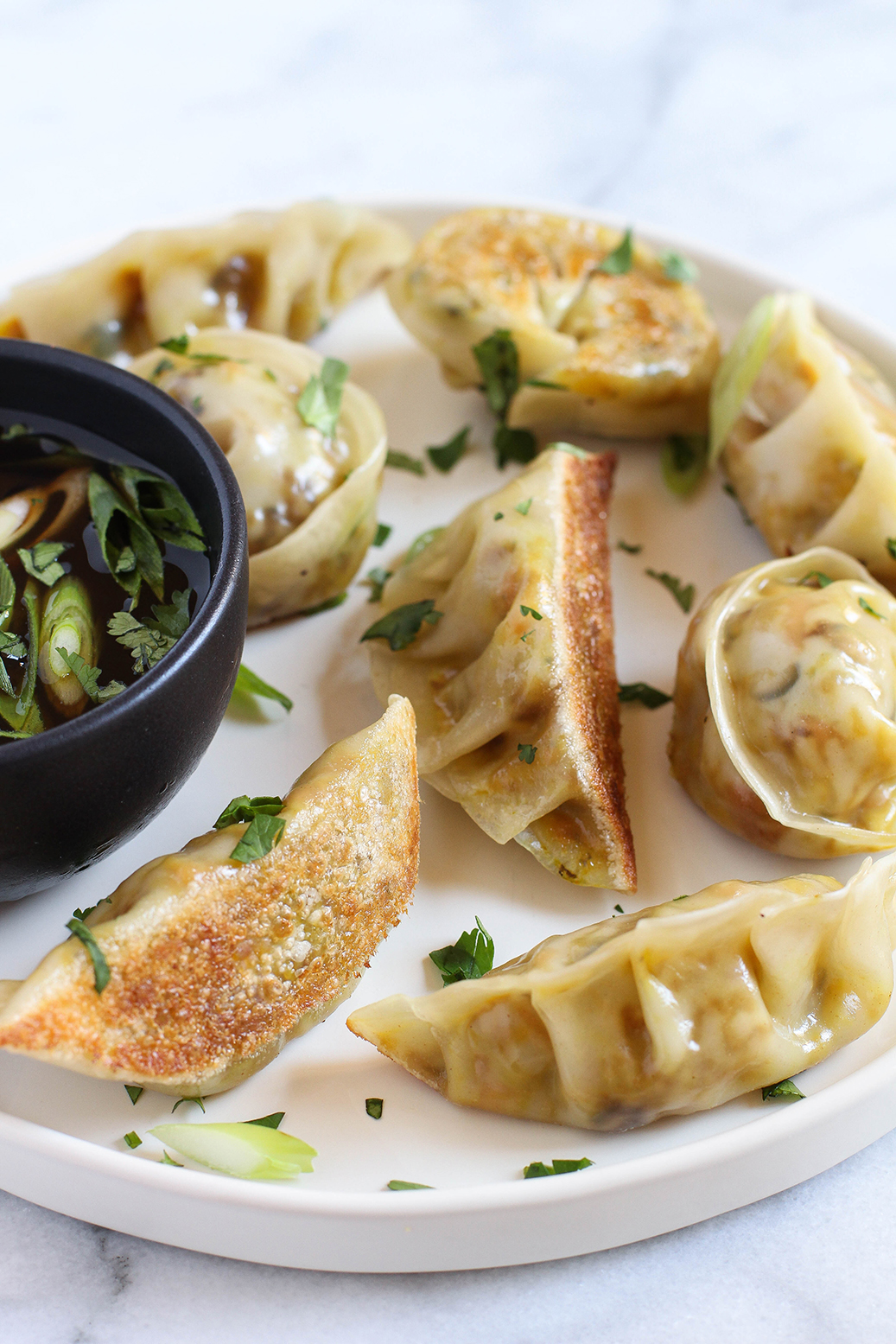 Vegan Turmeric Spiced Veggie Potstickers