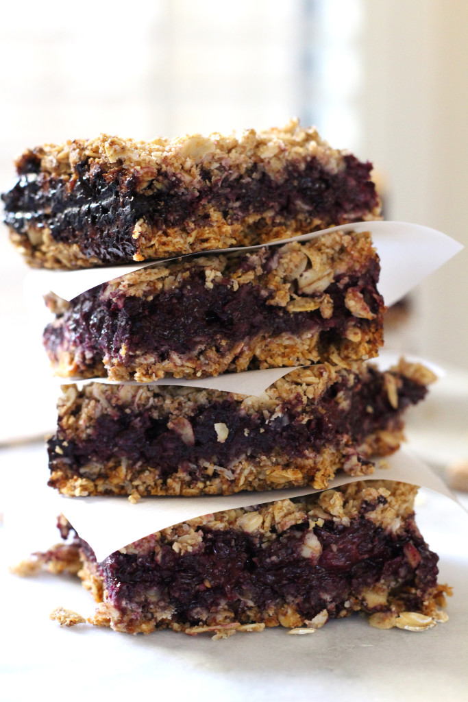 Berry Oat Bars