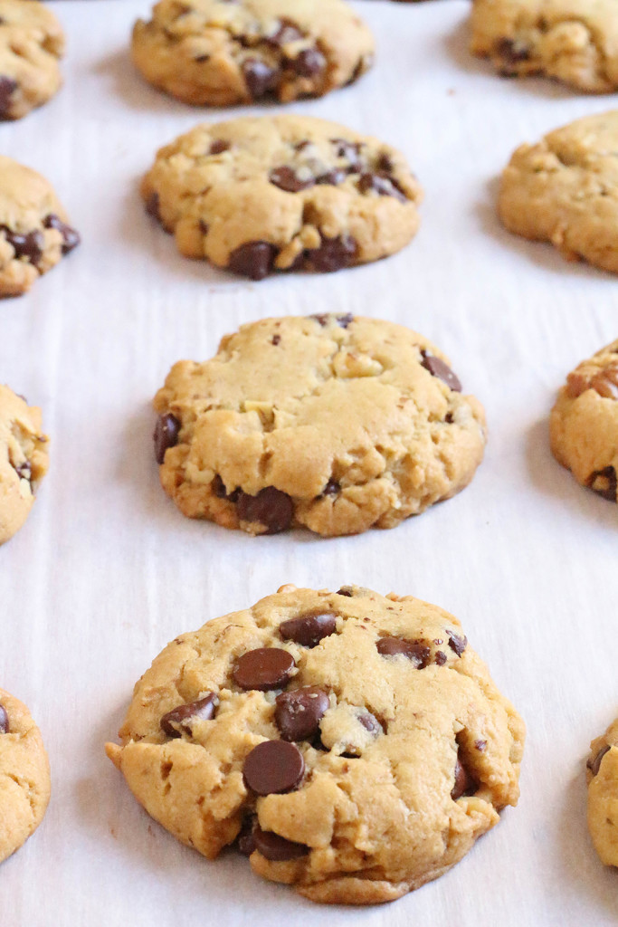 Vegan Chocolate Chip Cookies | The Mostly Vegan