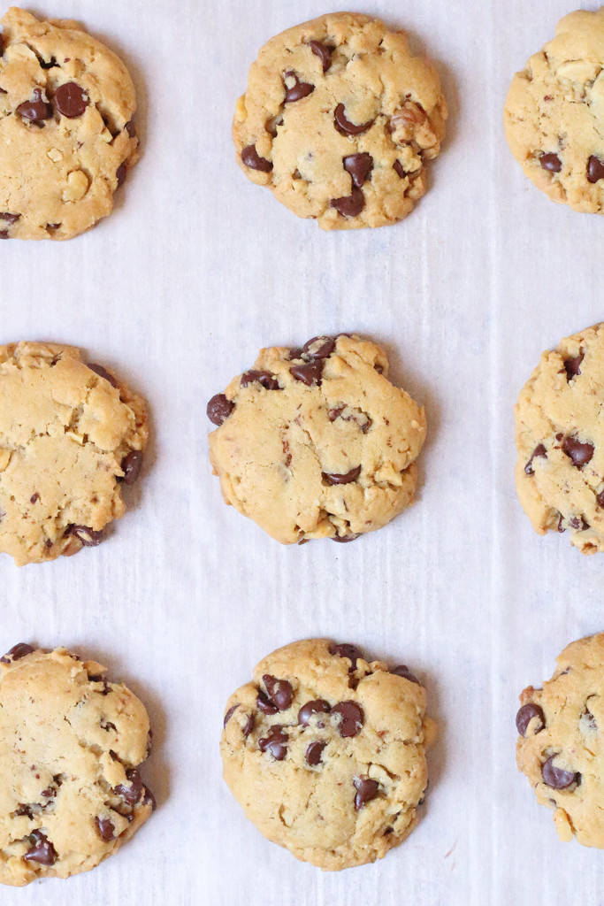 Vegan Chocolate Chip Cookies | The Mostly Vegan