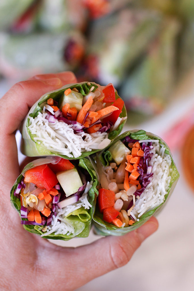 Veggie Spring Rolls with Spicy Peanut Dipping Sauce | The Mostly Vegan