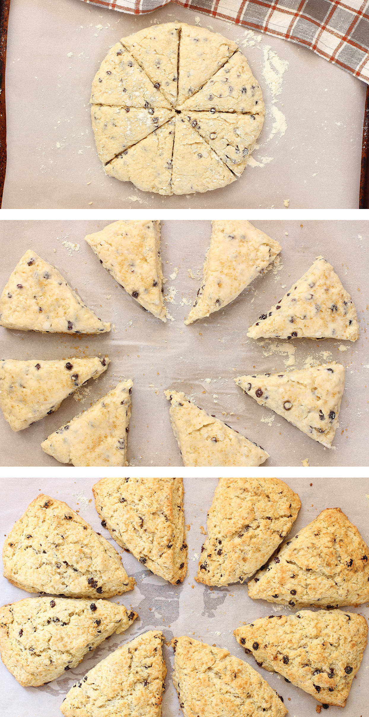 Vegan Currant Cardamom Scones